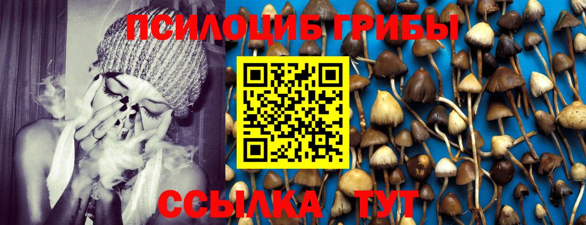 Галлюциногенные грибы ЛСД Артём